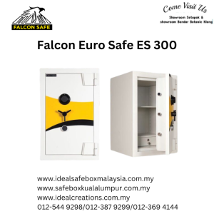 Falcon ES300 Euro Safe/Falcon Euro Safe ES 300
